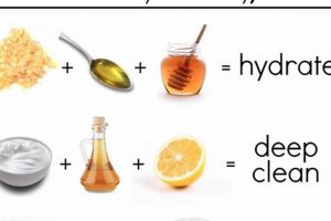 Best DIY Moisturizing Hair Masks For Healthy Hair | The DIY Hub: Creative Crafts, Repairs & Life Hacks