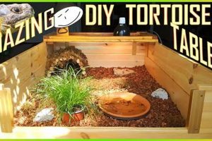 DIY Tortoise Table: Build Your Best Enclosure Guide! The DIY Hub: Creative Crafts, Repairs & Life Hacks DIY Tortoise Table: Build Your Best Enclosure Guide! | The DIY Hub: Creative Crafts, Repairs & Life Hacks