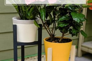 Easy DIY Plant Holder Ideas: Elevate Your Greenery The DIY Hub: Creative Crafts, Repairs & Life Hacks Easy DIY Plant Holder Ideas: Elevate Your Greenery | The DIY Hub: Creative Crafts, Repairs & Life Hacks