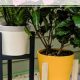 Easy DIY Plant Holder Ideas: Elevate Your Greenery | The DIY Hub: Creative Crafts, Repairs & Life Hacks