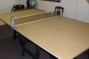 Build Your Own: DIY Ping Pong Table Project Plans | The DIY Hub: Creative Crafts, Repairs & Life Hacks