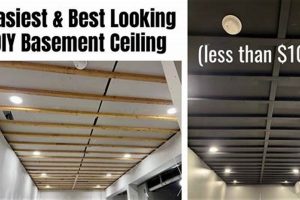 Easy DIY Drop Ceiling Ideas: Styles & How-To The DIY Hub: Creative Crafts, Repairs & Life Hacks Easy DIY Drop Ceiling Ideas: Styles & How-To | The DIY Hub: Creative Crafts, Repairs & Life Hacks