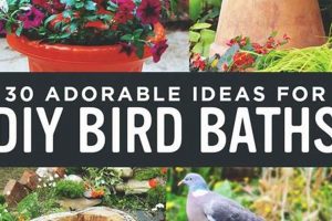 Easy Bird Bath DIY Ideas: Create a Backyard Oasis The DIY Hub: Creative Crafts, Repairs & Life Hacks Easy Bird Bath DIY Ideas: Create a Backyard Oasis | The DIY Hub: Creative Crafts, Repairs & Life Hacks