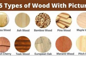 Easy DIY Nesting Box Ideas: Build Bird Homes The DIY Hub: Creative Crafts, Repairs & Life Hacks Easy DIY Nesting Box Ideas: Build Bird Homes | The DIY Hub: Creative Crafts, Repairs & Life Hacks