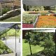 Cool DIY Garden Shade Ideas on a Budget: Designs & Tips | The DIY Hub: Creative Crafts, Repairs & Life Hacks