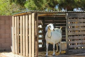 Easy DIY Goat Pen Ideas: Plans & Designs The DIY Hub: Creative Crafts, Repairs & Life Hacks Easy DIY Goat Pen Ideas: Plans & Designs | The DIY Hub: Creative Crafts, Repairs & Life Hacks