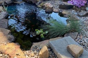 Easy DIY Koi Pond Ideas: Build Your Dream Pond! The DIY Hub: Creative Crafts, Repairs & Life Hacks Easy DIY Koi Pond Ideas: Build Your Dream Pond! | The DIY Hub: Creative Crafts, Repairs & Life Hacks