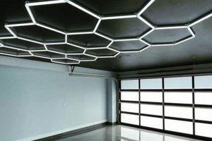DIY Garage Ceiling Ideas: Design & Upgrade Tips | The DIY Hub: Creative Crafts, Repairs & Life Hacks