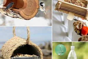 Easy DIY Bird Feeder Ideas: Build Your Own! | The DIY Hub: Creative Crafts, Repairs & Life Hacks