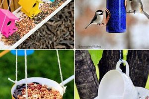 Easy Bird Feeder Ideas DIY: Build Your Own! | The DIY Hub: Creative Crafts, Repairs & Life Hacks