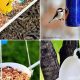 Easy Bird Feeder Ideas DIY: Build Your Own! | The DIY Hub: Creative Crafts, Repairs & Life Hacks