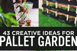 Easy Pallet Garden Ideas DIY: Grow Your Green Space! | The DIY Hub: Creative Crafts, Repairs & Life Hacks