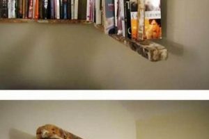Get Inspired: DIY Bookcase Ideas & Projects | The DIY Hub: Creative Crafts, Repairs & Life Hacks
