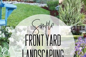 Easy &amp; Cheap DIY Front Yard Ideas on a Budget! | The DIY Hub: Creative Crafts, Repairs & Life Hacks