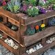 Easy DIY Pallet Ideas for Garden Oasis | The DIY Hub: Creative Crafts, Repairs & Life Hacks
