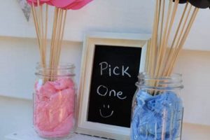 Unique DIY Gender Reveal Ideas: Unforgettable! | The DIY Hub: Creative Crafts, Repairs & Life Hacks