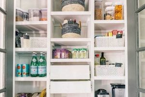 DIY Pantry Shelving Ideas: Easy & Budget-Friendly! The DIY Hub: Creative Crafts, Repairs & Life Hacks DIY Pantry Shelving Ideas: Easy & Budget-Friendly! | The DIY Hub: Creative Crafts, Repairs & Life Hacks