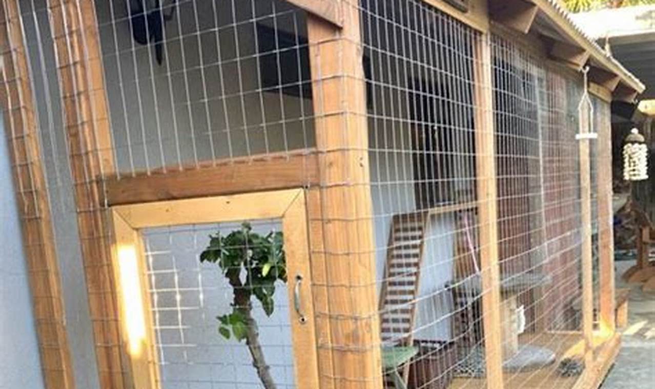 Best Catio Ideas DIY Guide: Plans & Tips! The DIY Hub: Creative Crafts, Repairs & Life Hacks Best Catio Ideas DIY Guide: Plans & Tips! | The DIY Hub: Creative Crafts, Repairs & Life Hacks
