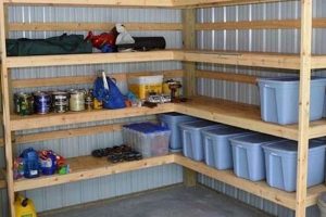 DIY Garage Shelving Ideas: Easy Storage Solutions | The DIY Hub: Creative Crafts, Repairs & Life Hacks