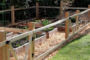 Easy DIY Vegetable Garden Fence Ideas + Tips | The DIY Hub: Creative Crafts, Repairs & Life Hacks