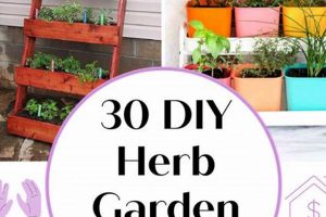 Easy DIY Herb Garden Ideas: Grow Your Own! | The DIY Hub: Creative Crafts, Repairs & Life Hacks