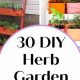 Easy DIY Herb Garden Ideas: Grow Your Own! | The DIY Hub: Creative Crafts, Repairs & Life Hacks