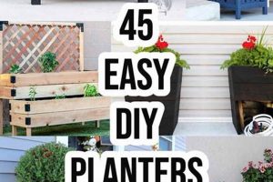 Easy DIY Planter Ideas: Get Creative with Planters! | The DIY Hub: Creative Crafts, Repairs & Life Hacks