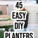 Easy DIY Planter Ideas: Get Creative with Planters! | The DIY Hub: Creative Crafts, Repairs & Life Hacks
