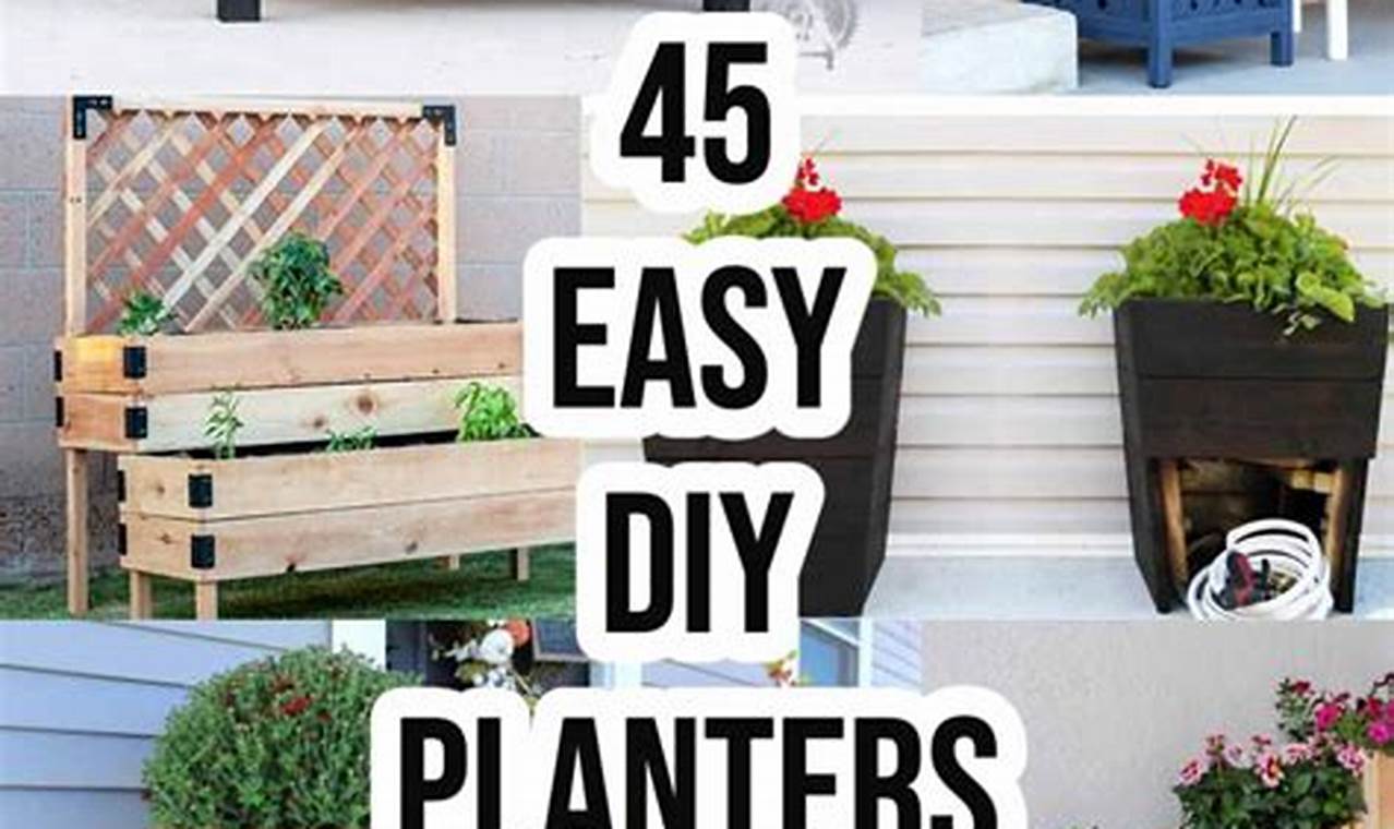 Easy DIY Planter Ideas: Get Creative with Planters! | The DIY Hub: Creative Crafts, Repairs & Life Hacks