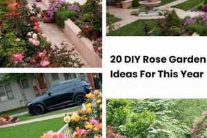 Easy DIY Rose Garden Ideas: Designs & Tips | The DIY Hub: Creative Crafts, Repairs & Life Hacks
