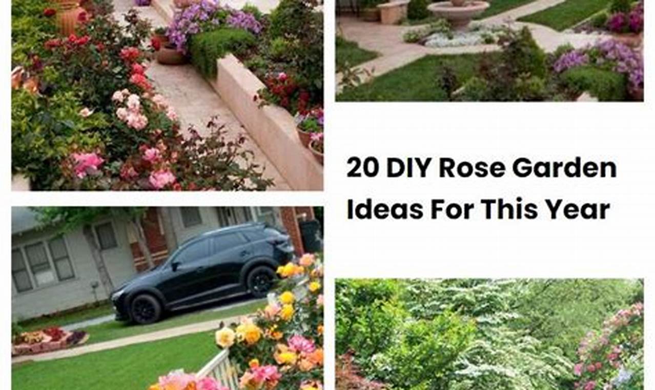 Easy DIY Rose Garden Ideas: Designs & Tips | The DIY Hub: Creative Crafts, Repairs & Life Hacks