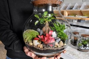 Build Your Own: DIY Kit Terrarium Garden! The DIY Hub: Creative Crafts, Repairs & Life Hacks Build Your Own: DIY Kit Terrarium Garden! | The DIY Hub: Creative Crafts, Repairs & Life Hacks