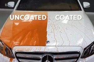 Best DIY Ceramic Coating Kit Guide: Protect & Shine! The DIY Hub: Creative Crafts, Repairs & Life Hacks Best DIY Ceramic Coating Kit Guide: Protect & Shine! | The DIY Hub: Creative Crafts, Repairs & Life Hacks