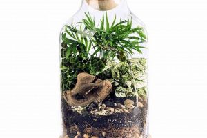 Best DIY Terrarium Kit Ideas: Easy & Unique The DIY Hub: Creative Crafts, Repairs & Life Hacks Best DIY Terrarium Kit Ideas: Easy & Unique | The DIY Hub: Creative Crafts, Repairs & Life Hacks