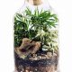 Best DIY Terrarium Kit Ideas: Easy & Unique | The DIY Hub: Creative Crafts, Repairs & Life Hacks