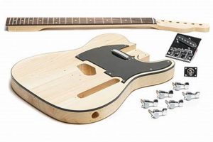 Build a Custom DIY Telecaster Guitar Kit + Setup Tips The DIY Hub: Creative Crafts, Repairs & Life Hacks Build a Custom DIY Telecaster Guitar Kit + Setup Tips | The DIY Hub: Creative Crafts, Repairs & Life Hacks