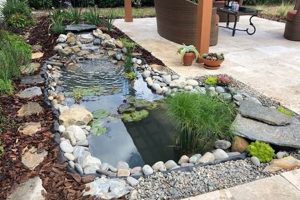 Easy DIY Pond Kit Setup: Build Your Dream Pond Now! The DIY Hub: Creative Crafts, Repairs & Life Hacks Easy DIY Pond Kit Setup: Build Your Dream Pond Now! | The DIY Hub: Creative Crafts, Repairs & Life Hacks