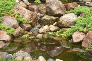Easy Pond DIY Kit Setup: Create Your Backyard Oasis The DIY Hub: Creative Crafts, Repairs & Life Hacks Easy Pond DIY Kit Setup: Create Your Backyard Oasis | The DIY Hub: Creative Crafts, Repairs & Life Hacks