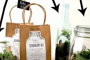 Build Stunning Miniature Worlds with DIY Terrarium Kits! The DIY Hub: Creative Crafts, Repairs & Life Hacks Build Stunning Miniature Worlds with DIY Terrarium Kits! | The DIY Hub: Creative Crafts, Repairs & Life Hacks