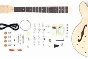 Build Your Own! Left Handed DIY Guitar Kit Guide | The DIY Hub: Creative Crafts, Repairs & Life Hacks