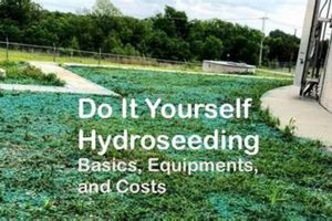 Easy DIY Hydroseeding Kit: Lawn Made Simple! | The DIY Hub: Creative Crafts, Repairs & Life Hacks
