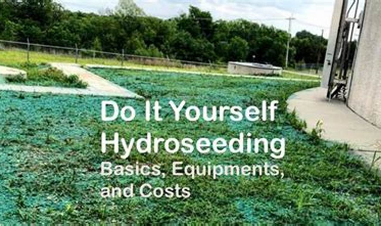 Easy DIY Hydroseeding Kit: Lawn Made Simple! | The DIY Hub: Creative Crafts, Repairs & Life Hacks