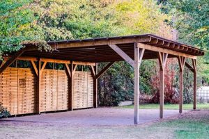 Best Cheap DIY Carport Kit Deals: Shelter Your Ride! | The DIY Hub: Creative Crafts, Repairs & Life Hacks