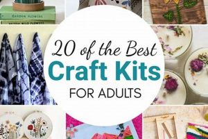 Best DIY Kits for Guys: Unleash Your Inner Maker! | The DIY Hub: Creative Crafts, Repairs & Life Hacks