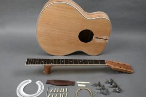 Build Your Dream: DIY Acoustic Guitar Kit Guide & Review | The DIY Hub: Creative Crafts, Repairs & Life Hacks