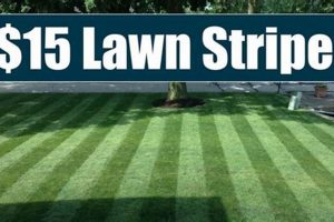 DIY Striping Kit Magic: Customize Your Ride! | The DIY Hub: Creative Crafts, Repairs & Life Hacks