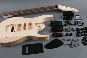 Build Your Dream: DIY Guitar Kit Guide & More! | The DIY Hub: Creative Crafts, Repairs & Life Hacks