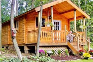 Build Your Dream: DIY Log Cabin Kit Guide | The DIY Hub: Creative Crafts, Repairs & Life Hacks