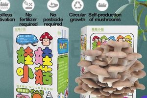Easy DIY Mushroom Grow Kit: Your Beginner's Guide! | The DIY Hub: Creative Crafts, Repairs & Life Hacks
