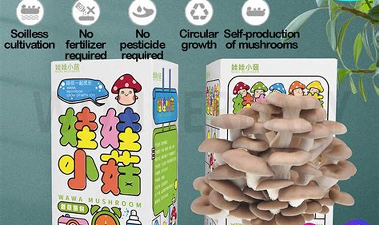 Easy DIY Mushroom Grow Kit: Your Beginner's Guide! | The DIY Hub: Creative Crafts, Repairs & Life Hacks